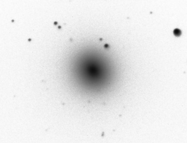 NGC 4484.jpg